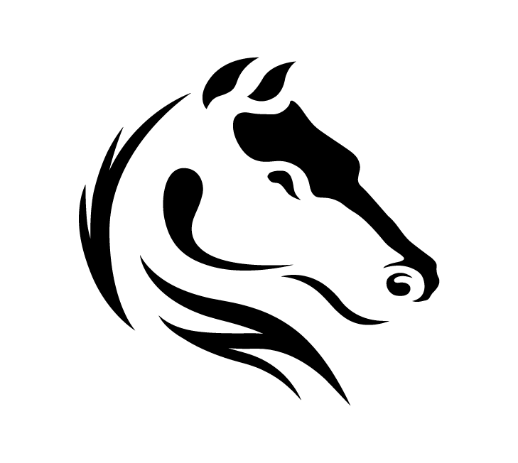 Darkhorse Analytics Logo