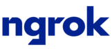 ngrok Inc. Logo