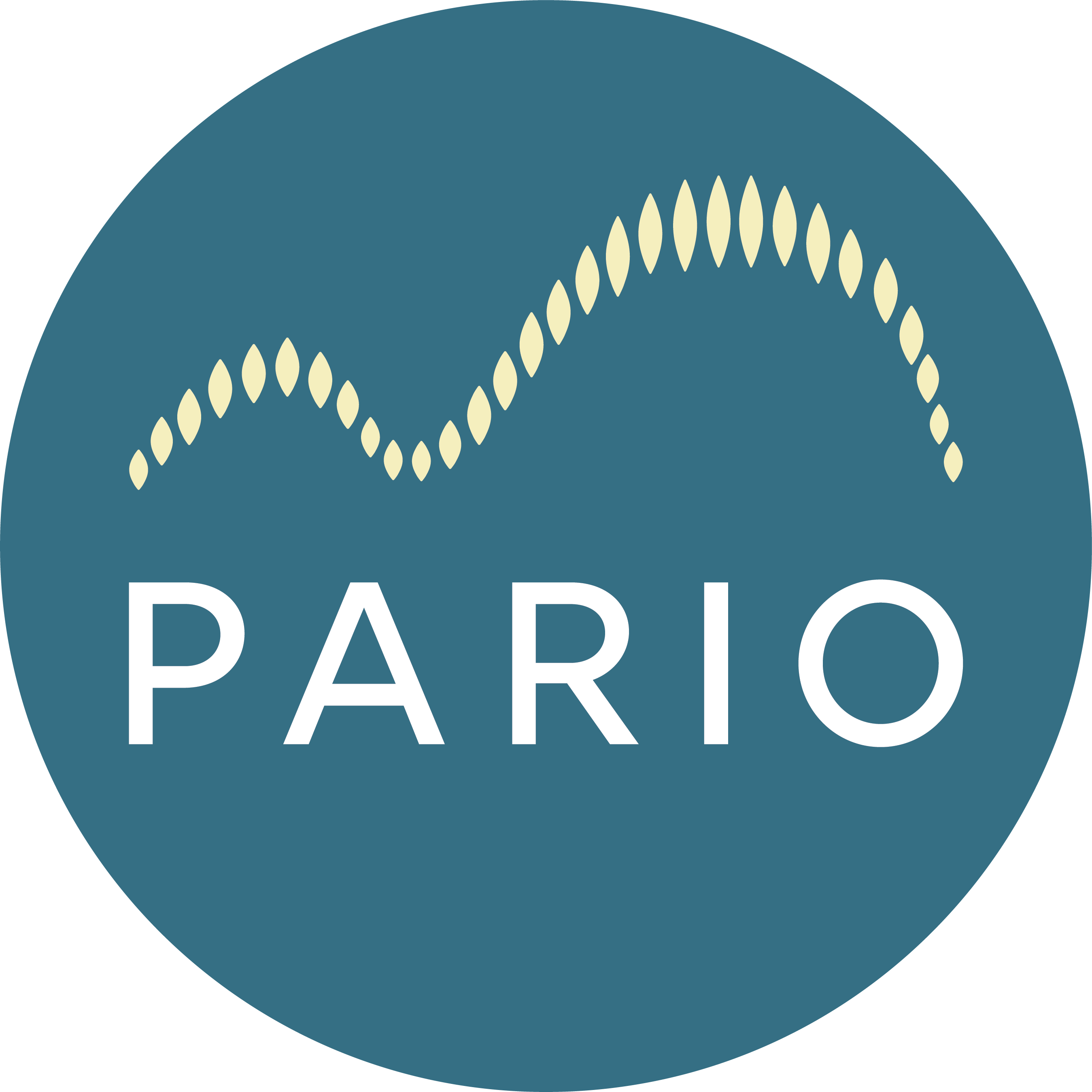 Pario Logo